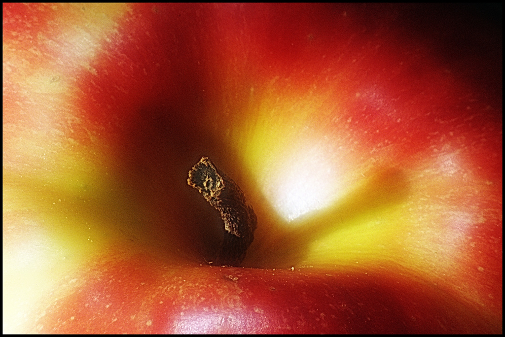 Resultado de imagen para manzana guillermo tell